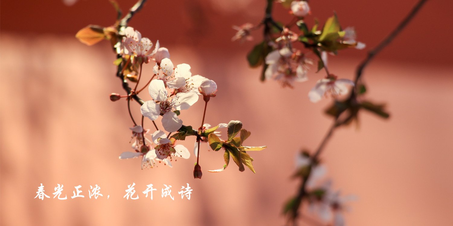 菏泽市大学路2269号 邮政编码